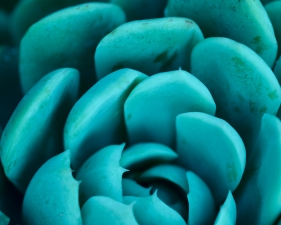 Eric Cahan, Blue Ain't Your Color, 2021