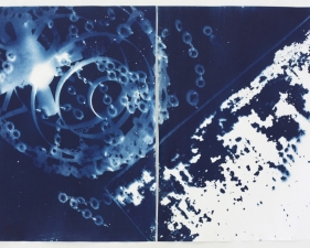 Vanessa Albury<br /> <i>Light Shadowgraphs, Chandelier XXIV,&nbsp;</i>2014<br /> Cyanotype on paper<br /> 19 x 26" (diptych)<br /> Unique
