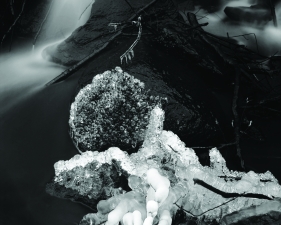 Audubon Center #2, Sharon, CT, 1972