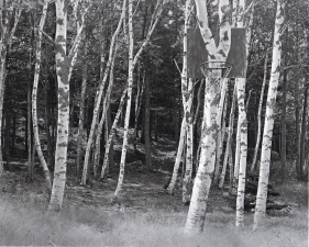 Jed Devine<br /> <em>Rod Pratt's Backboard, Friendship Long Island</em><br /> Platinum-palladium print on Japanese rice paper<br /> 8 x 10"