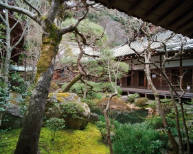 Jacqueline Hassink<br /> <em>Eikan-dō 3,&nbsp;East Kyoto,&nbsp;3 March 2009 (8:00–9:00)</em><br /> Chromogenic prints<br />41 x 51", 50 x 63", and&nbsp;63 x 79"&nbsp; &nbsp;Shared edition of 7<br />