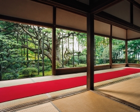Jacqueline Hassink<br /> <em>Hosen-in 1, Summer, North Kyoto, June 29, 2004</em><br /> Chromogenic prints<br />41 x 51", 50 x 63", and&nbsp;63 x 79"&nbsp; &nbsp;Shared edition of 7<br />