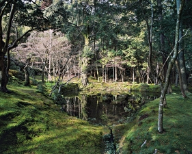 Jacqueline Hassink<br /> <em>Saihō-ji 9, winter,&nbsp;Southwest Kyoto,&nbsp;11 February 2011 (13:00–15:00)</em><br /> Chromogenic prints<br />41 x 51", 50 x 63", and&nbsp;63 x 79"&nbsp; &nbsp;Shared edition of 7<br />