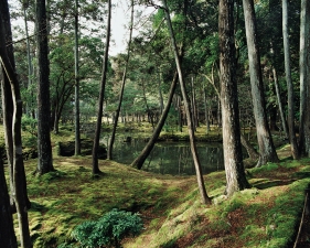 Jacqueline Hassink<br /> <em>Saihō-ji 9, Winter,&nbsp;Southwest Kyoto,&nbsp;11 February 2011 (13:00–15:00)</em><br /> Chromogenic prints<br />50 x 63" Shared edition of 7<br />Additional sizes available, please contact gallery for more information