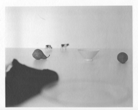 Jed Devine, Dishes And Fruit 2