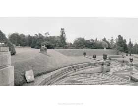Jed Devine, Lion at Powerscourt Estate 06