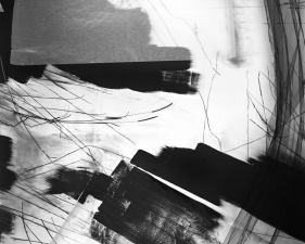 Lauren Semivan<br /> <em>August 14,&nbsp;</em>2014<br /> Archival ink print<br /> 24 x 30" &nbsp; &nbsp;Edition of 10<br /> 40 x 50" &nbsp; &nbsp;Edition of 5