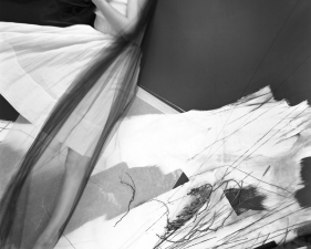 Lauren Semivan<br /> <em>Fall,&nbsp;</em>2015<br /> Archival ink print<br /> 24 x 30" &nbsp; &nbsp;Edition of 10<br /> 40 x 50" &nbsp; &nbsp;Edition of 5