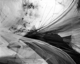 Lauren Semivan<br /> <em>Lining 2</em>, 2016<br /> Archival ink print<br /> 30 x 24" &nbsp; Edition of 10<br /> 50 x 40" &nbsp; Edition of 5<br />