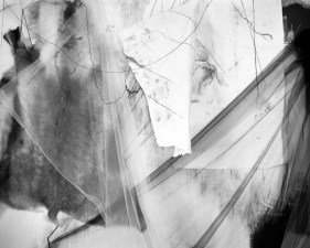 Lauren Semivan<br /> <em>Messenger</em>, 2015<br /> Archival ink print<br /> 24 x 30" &nbsp; Edition of 10<br /> 40 x 50" &nbsp; Edition of 5