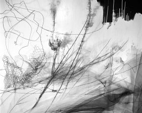Lauren Semivan<br /> <em>Pendulum,&nbsp;</em>2015<br /> Archival ink print<br /> 24 x 30" &nbsp; &nbsp;Edition of 10<br /> 40 x 50" &nbsp; &nbsp;Edition of 5