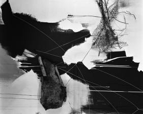 Lauren Semivan<br /> <em>September, Birch, </em>2014<br /> Archival ink print<br /> 30 x 24" &nbsp; &nbsp;Edition of 10<br /> 50 x 40" &nbsp; &nbsp;Edition of 5