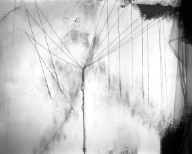 Lauren Semivan<br /> <em>Seven Sisters</em>, 2015<br /> Archival ink print<br /> 24 x 30" &nbsp; Edition of 10<br /> 40 x 50" &nbsp; Edition of 5
