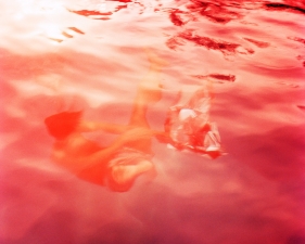 Karine Laval<br /> <em>Untitled #6 (Flux)</em>, 2012<br /> Chromogenic print<br /> 30 x 30" &nbsp; &nbsp;Edition of 5<br /> 48 x 48" &nbsp; &nbsp;Edition of 5