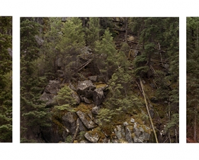 Laura McPhee<br /> <span style="font-size:12px;"><i style="font-family: arial, sans-serif; font-size: 13px;">Above Shotgun Rapids, Salmon River, Cluster County</i><span style="font-family: arial, sans-serif;">, <em>Idaho, 2012</em></span></span><br /> Archival Pigment Ink Prints<br /> 30 x 40" &nbsp; &nbsp;Edition of 5<br /> 40 x 50" &nbsp; &nbsp;Edition of 5<br /> 50 x 60" &nbsp; &nbsp;Edition of 5<br /> 60 x 75" &nbsp; &nbsp;Edition of 5