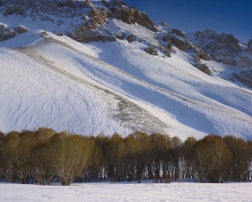 <em>Time Taken 4, Early-Winter</em><br /> <div> Digital chromogenic prints</div><br> 15 x 20" (image size), 21 x 26" (paper size) &nbsp; &nbsp;Edition of 7<br /> 40 x 53.25" (image size) &nbsp; &nbsp;Edition of 7