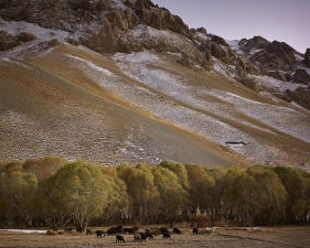 <em>Time Taken 4, Late-Spring</em><br /> <div> Digital chromogenic prints</div><br> 15 x 20" (image size), 21 x 26" (paper size) &nbsp; &nbsp;Edition of 7<br /> 40 x 53.25" (image size) &nbsp; &nbsp;Edition of 7