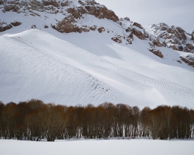 <em>Time Taken 4, Late-Winter</em><br /> <div> Digital chromogenic prints</div><br> 15 x 20" (image size), 21 x 26" (paper size) &nbsp; &nbsp;Edition of 7<br /> 40 x 53.25" (image size) &nbsp; &nbsp;Edition of 7