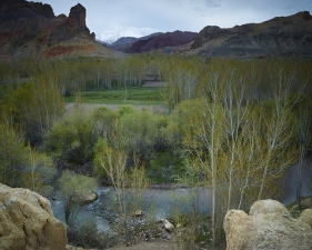 <em>Time Taken 5, Early-Spring</em><br /> <div> Digital chromogenic prints</div><br> 15 x 20" (image size), 21 x 26" (paper size) &nbsp; &nbsp;Edition of 7<br /> 40 x 53.25" (image size) &nbsp; &nbsp;Edition of 7