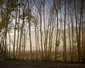 <em>Time Taken 6, Early-Autumn</em><br /> <div> Digital chromogenic prints</div><br> 15 x 20" (image size), 21 x 26" (paper size) &nbsp; &nbsp;Edition of 7<br /> 40 x 53.25" (image size) &nbsp; &nbsp;Edition of 7