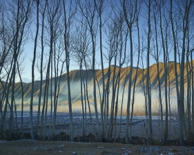 <em>Time Taken 6, Early-Spring</em><br /> <div> Digital chromogenic prints</div><br> 15 x 20" (image size), 21 x 26" (paper size) &nbsp; &nbsp;Edition of 7<br /> 40 x 53.25" (image size) &nbsp; &nbsp;Edition of 7