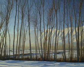<em>Time Taken 6, Late-Winter</em><br /> <div> Digital chromogenic prints</div><br> 15 x 20" (image size), 21 x 26" (paper size) &nbsp; &nbsp;Edition of 7<br /> 40 x 53.25" (image size) &nbsp; &nbsp;Edition of 7
