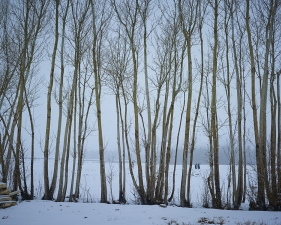 <em>Time Taken 6, Mid-Winter</em><br /> <div> Digital chromogenic prints</div><br> 15 x 20" (image size), 21 x 26" (paper size) &nbsp; &nbsp;Edition of 7<br /> 40 x 53.25" (image size) &nbsp; &nbsp;Edition of 7