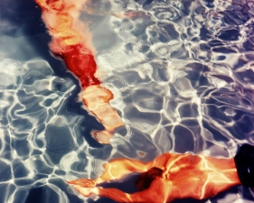 Karine Laval<br /> <em>Poolscape #58</em>, 2010<br /> Chromogenic print<br /> 20 x 20" &nbsp; &nbsp;Edition of 15<br /> 30 x 30" &nbsp; &nbsp;Edition of 9<br /> 50 x 50" &nbsp; &nbsp;Edition of 5