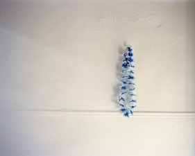 Susannah Ray<br /> <em>Lei, Winter</em>, 2005<br /> Digital C-prints<br /> 20 x 24" &nbsp; &nbsp;Edition of 7<br /> 40 x 50" &nbsp; &nbsp;Edition of 5