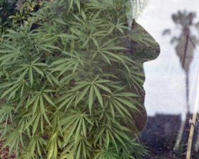 The Family Acid, Mom double exposure, Echo Park, CA, July, 2015